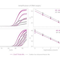 Clara™ Probe Purple Mix