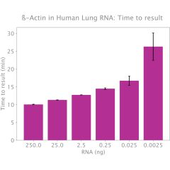 IsoFast® Bst 1-Step Mix