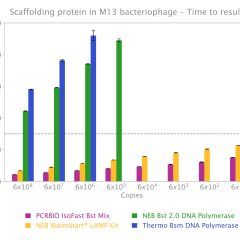IsoFast® Bst Polymerase