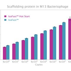 IsoFast® Hot Start Bst Polymerase