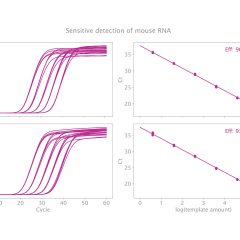 Clara™ Probe 1-Step Mix