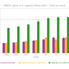 IsoFast® Bst Polymerase