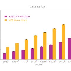 IsoFast® Hot Start Bst Polymerase