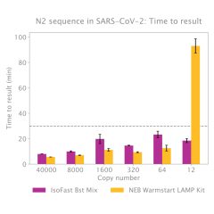 IsoFast® Bst 1-Step Mix