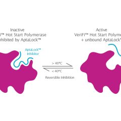 VeriFi® Hot Start Polymerase