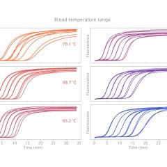 IsoFast® Bst Polymerase
