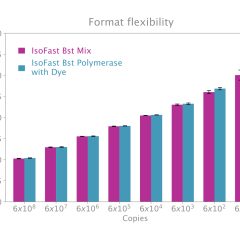 IsoFast® Bst Polymerase