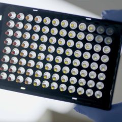 IsoFast® Hot Start Bst Polymerase