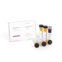 PCRBIO DNA Markers