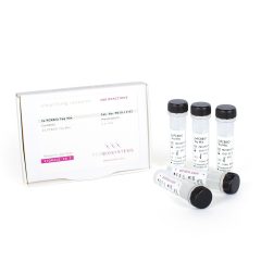 PCRBIO Taq Mix-PB10.12-02