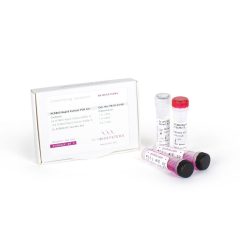 PCRBIO Rapid Extract 2