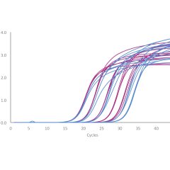 qPCRBIO SyGreen 1-Step Kits