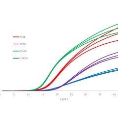 qPCRBIO Probe 1-Step Go