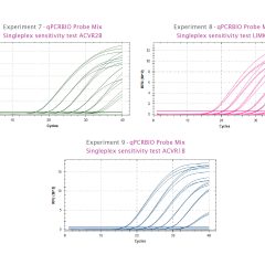qPCRBIO Probe Blue Mix