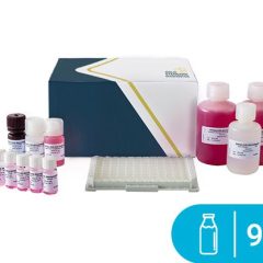 SENSISpec ELISA Beta-Lactoglobulin 96 Wells
