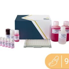 SENSISpec ELISA Brazil nut 96 Wells