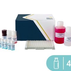 SENSISpec ELISA Casein 48 Wells