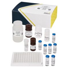 Imidacloprid/Clothianidin, ELISA, 96 tests