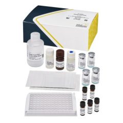 Okadaic Acid (DSP), PP2A, Plate, 96 tests