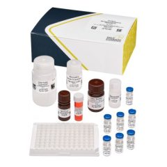 Microcystins/Nodularins DM (EPA ETV) (CCL4), ELISA, 96 tests