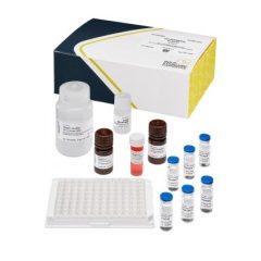Saxitoxins (PSP) Shipboard, ELISA 96 tests