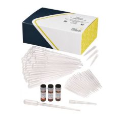 QuikLyse, Lysing and filtration (liquid reagents) 45 tests