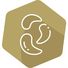 SENSISpec Spike Solution Cashew