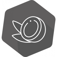 SENSISpec Spike Solution Coconut