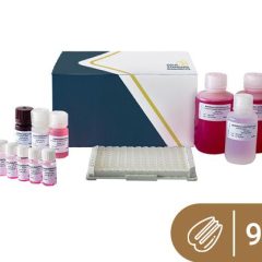 SENSISpec ELISA Pecan nut 96 wells