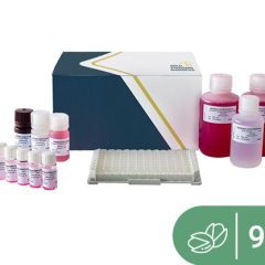 SENSISpec ELISA Pistachio 96 wells