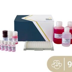 SENSISpec ELISA Soy 96 wells