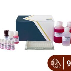 SENSISpec ELISA Walnut 96 wells