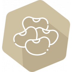 SENSISpec ELISA Total Soy Protein 48 wells