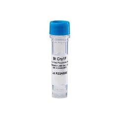 Antibody, Anti-Cry 1F, polyclonal (rabbit), 0.2 mg