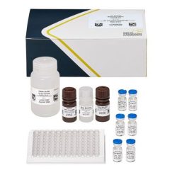 Melamine, ELISA, 96 tests