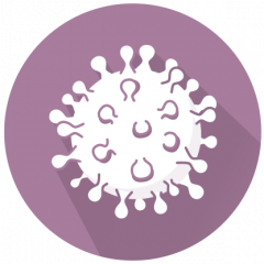 VIRType SARS-CoV-2 (E484K)