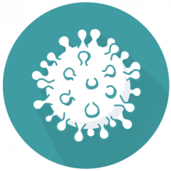 VIRSeek SARS-CoV-2 Ident 2