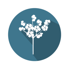 GMOIdent RT IPC (LR) Event GHB614 Cotton