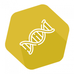 iMAGo Food 96 reactions