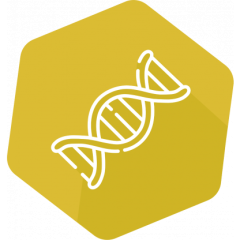 AbraMag DNA Size Selection Magnetic Beads, 60 mL