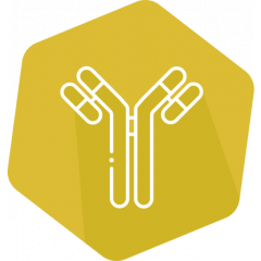 SENSISpec ELISA Aflatoxin Total Rapid