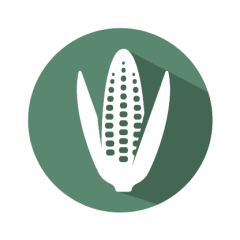 Modified Cry3A ELISA kit