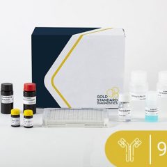 I'screen QUINO, ELISA, 96 det.