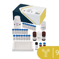 Patulin 1X6 ELISA 96-test