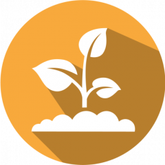 SpeciesScreen RT Plant IPC (LR/HR)