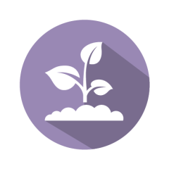 GMOScreen RT IPC (NR) EPSPS/NOS/pat(syn)